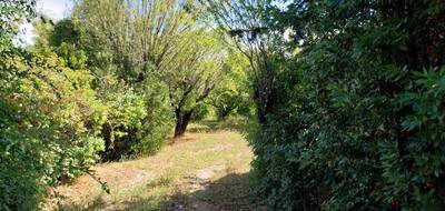 Terrain à Lorgues en Var (83) de 857 m² à vendre au prix de 235000€ - 4