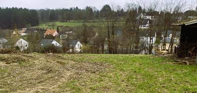 Terrain et maison à Buschwiller en Haut-Rhin (68) de 137 m² à vendre au prix de 910960€ - 3