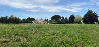 Terrain et maison à Lapalud en Vaucluse (84) de 120 m² à vendre au prix de 316800€ - 4