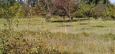 Terrain à Pernes-les-Fontaines en Vaucluse (84) de 238 m² à vendre au prix de 109900€ - 4