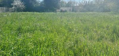 Terrain à Salles-sur-Mer en Charente-Maritime (17) de 564 m² à vendre au prix de 255000€ - 1