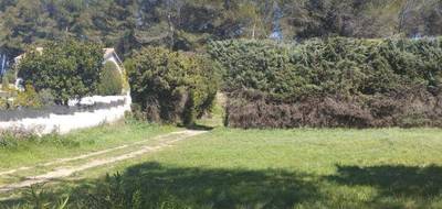 Terrain à Fontvieille en Bouches-du-Rhône (13) de 470 m² à vendre au prix de 165000€ - 3
