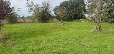 Terrain et maison à Sorigny en Indre-et-Loire (37) de 80 m² à vendre au prix de 224900€ - 2