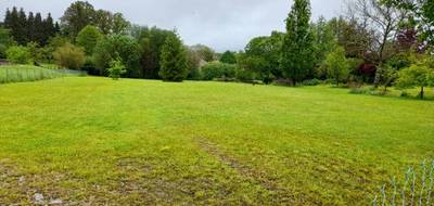 Terrain à Couzeix en Haute-Vienne (87) de 1500 m² à vendre au prix de 75000€ - 3