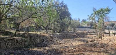 Terrain à Tourrette-Levens en Alpes-Maritimes (06) de 1000 m² à vendre au prix de 250000€ - 2