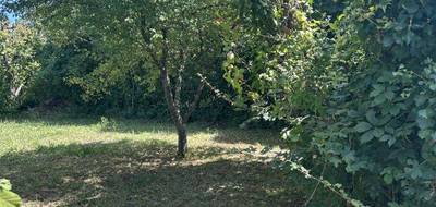 Terrain et maison à Bourgueil en Indre-et-Loire (37) de 90 m² à vendre au prix de 219900€ - 2