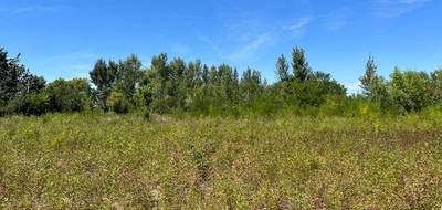 Terrain à Castelnaudary en Aude (11) de 1111 m² à vendre au prix de 95000€ - 1