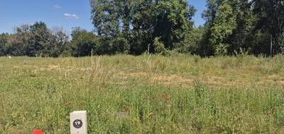 Terrain et maison à Biard en Vienne (86) de 73 m² à vendre au prix de 170933€ - 4