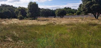 Terrain à Jonquières en Vaucluse (84) de 1623 m² à vendre au prix de 220000€ - 4