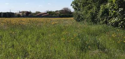 Terrain à Ardillières en Charente-Maritime (17) de 348 m² à vendre au prix de 43500€ - 3