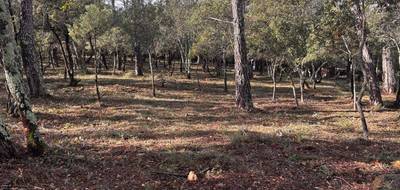 Terrain à Le Thoronet en Var (83) de 769 m² à vendre au prix de 155000€ - 2