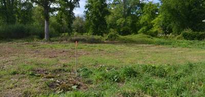 Terrain à Lanton en Gironde (33) de 2186 m² à vendre au prix de 347000€ - 3