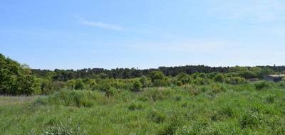 Terrain à Galargues en Hérault (34) de 412 m² à vendre au prix de 169900€ - 1