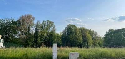 Terrain et maison à Essoyes en Aube (10) de 73 m² à vendre au prix de 142553€ - 3