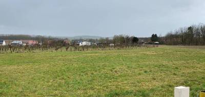 Terrain et maison à Lattre-Saint-Quentin en Pas-de-Calais (62) de 100 m² à vendre au prix de 287828€ - 4