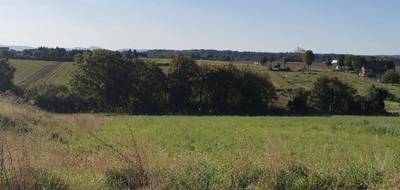 Terrain et maison à Berthelming en Moselle (57) de 87 m² à vendre au prix de 196865€ - 3