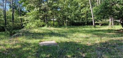 Terrain à Gréasque en Bouches-du-Rhône (13) de 580 m² à vendre au prix de 205000€ - 3