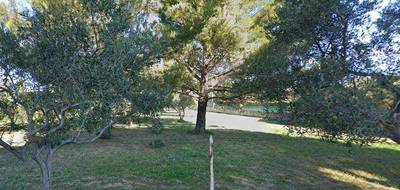 Terrain à Saint-Chamas en Bouches-du-Rhône (13) de 505 m² à vendre au prix de 251000€ - 2