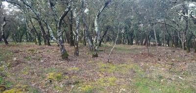 Terrain à Sainte-Anastasie-sur-Issole en Var (83) de 957 m² à vendre au prix de 161000€ - 2