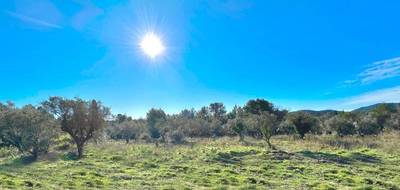 Terrain à Bagnols-en-Forêt en Var (83) de 2074 m² à vendre au prix de 250000€ - 3
