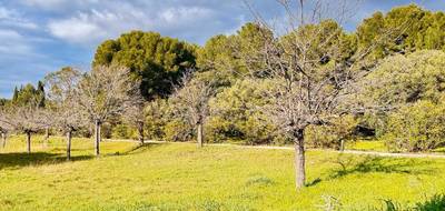 Terrain et maison à La Cadière-d'Azur en Var (83) de 110 m² à vendre au prix de 960000€ - 4