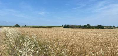 Terrain à Bassan en Hérault (34) de 376 m² à vendre au prix de 100000€ - 1