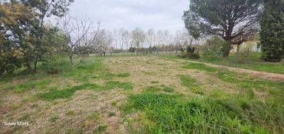 Terrain et maison à Saint-Gauzens en Tarn (81) de 84 m² à vendre au prix de 197272€ - 4