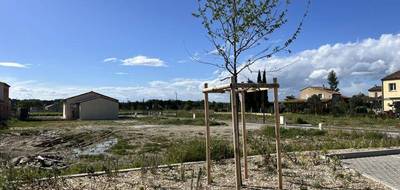 Terrain à Courthézon en Vaucluse (84) de 320 m² à vendre au prix de 89500€ - 4