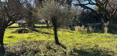 Terrain et maison à Montauroux en Var (83) de 80 m² à vendre au prix de 390000€ - 4