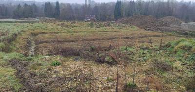 Terrain et maison à Clarbec en Calvados (14) de 132 m² à vendre au prix de 339900€ - 4