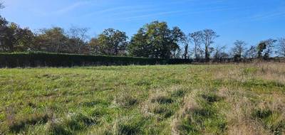 Terrain et maison à Pins-Justaret en Haute-Garonne (31) de 90 m² à vendre au prix de 314000€ - 4
