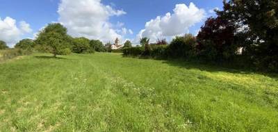 Terrain et maison à Reims en Marne (51) de 150 m² à vendre au prix de 398000€ - 3