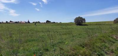 Terrain à Paraza en Aude (11) de 500 m² à vendre au prix de 65500€ - 1