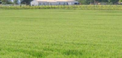 Terrain et maison à Grézac en Charente-Maritime (17) de 91 m² à vendre au prix de 220240€ - 3