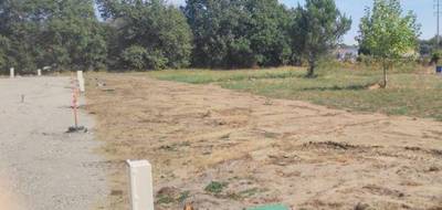 Terrain et maison à Le Taillan-Médoc en Gironde (33) de 106 m² à vendre au prix de 424800€ - 3