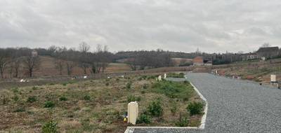Terrain et maison à Castelnau-de-Lévis en Tarn (81) de 186 m² à vendre au prix de 448000€ - 4