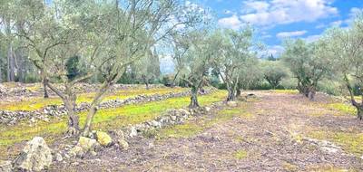Terrain à Bagnols-en-Forêt en Var (83) de 1381 m² à vendre au prix de 170000€ - 1