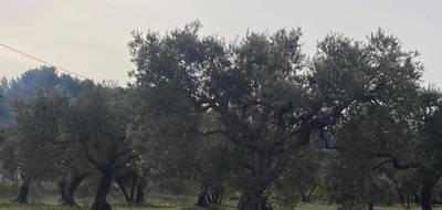 Terrain et maison à Tavernes en Var (83) de 80 m² à vendre au prix de 340000€ - 2