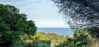 Terrain à Sainte-Maxime en Var (83) de 1800 m² à vendre au prix de 1500000€ - 3