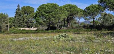 Terrain à Puget-sur-Argens en Var (83) de 656 m² à vendre au prix de 250000€ - 3