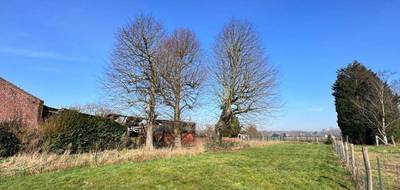 Terrain et maison à Flines-lez-Raches en Nord (59) de 150 m² à vendre au prix de 348000€ - 3