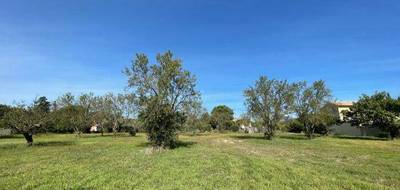 Terrain à Saint-Quentin-la-Poterie en Gard (30) de 400 m² à vendre au prix de 117000€ - 2