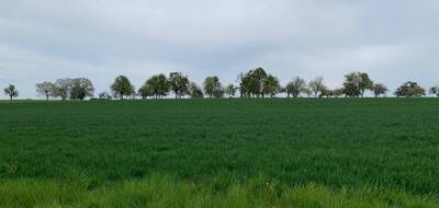 Terrain à Waldwisse en Moselle (57) de 498 m² à vendre au prix de 75000€ - 4