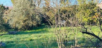Terrain à Besse-sur-Issole en Var (83) de 480 m² à vendre au prix de 110000€ - 2