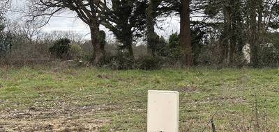 Terrain et maison à Forges en Charente-Maritime (17) de 130 m² à vendre au prix de 444147€ - 3
