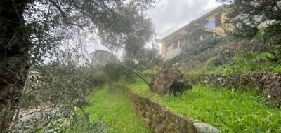 Terrain et maison à Puget-sur-Argens en Var (83) de 90 m² à vendre au prix de 399000€ - 4
