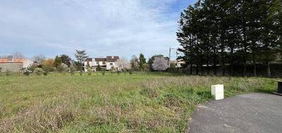 Terrain et maison à Béruges en Vienne (86) de 50 m² à vendre au prix de 147684€ - 3