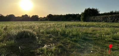 Terrain et maison à Joué-lès-Tours en Indre-et-Loire (37) de 90 m² à vendre au prix de 320000€ - 3