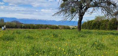 Terrain et maison à Saint-Cergues en Haute-Savoie (74) de 124 m² à vendre au prix de 581600€ - 3