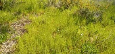 Terrain à Biganos en Gironde (33) de 600 m² à vendre au prix de 245000€ - 1